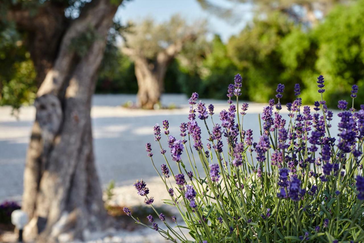 Bed and Breakfast Agapanto Masseria Conversano Exterior foto