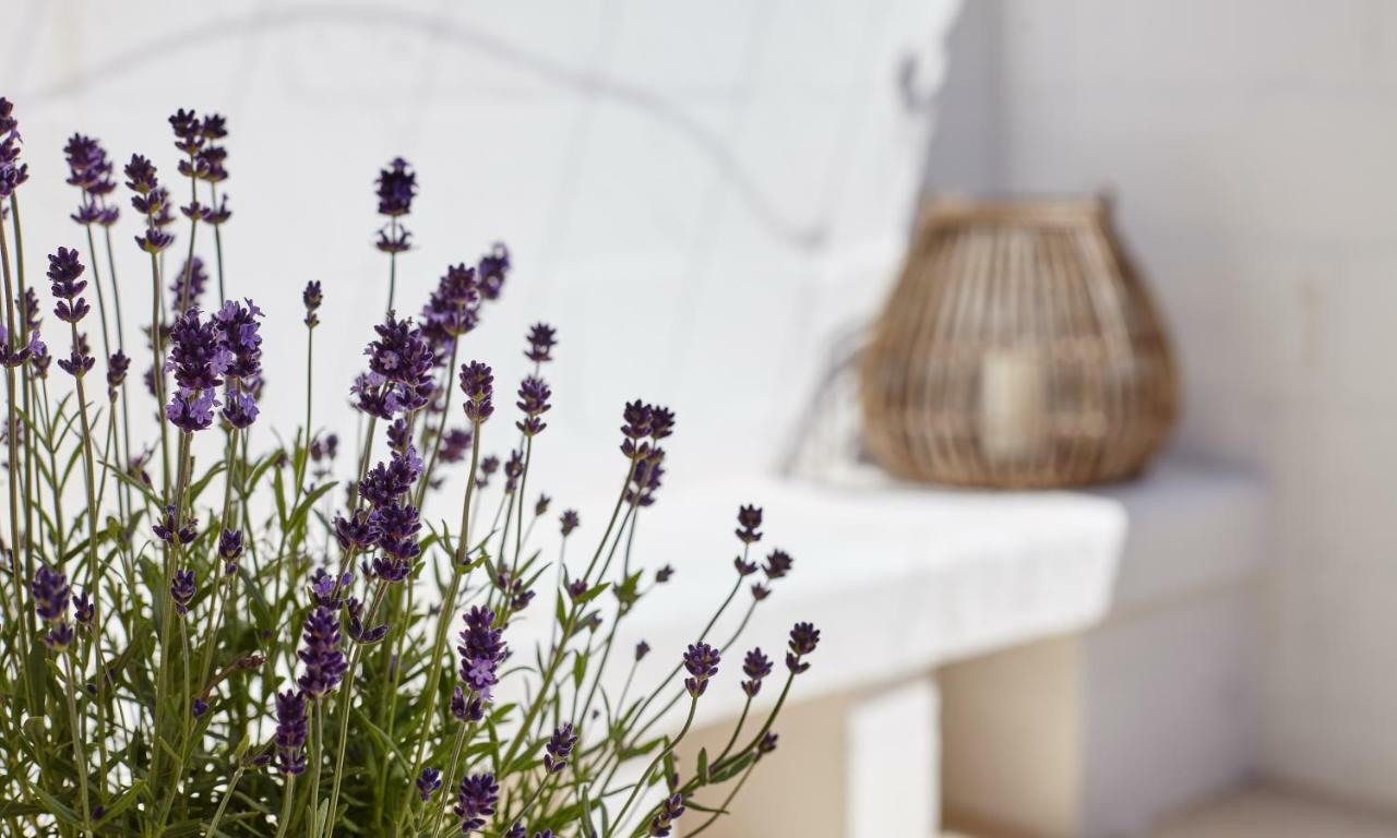 Bed and Breakfast Agapanto Masseria Conversano Exterior foto