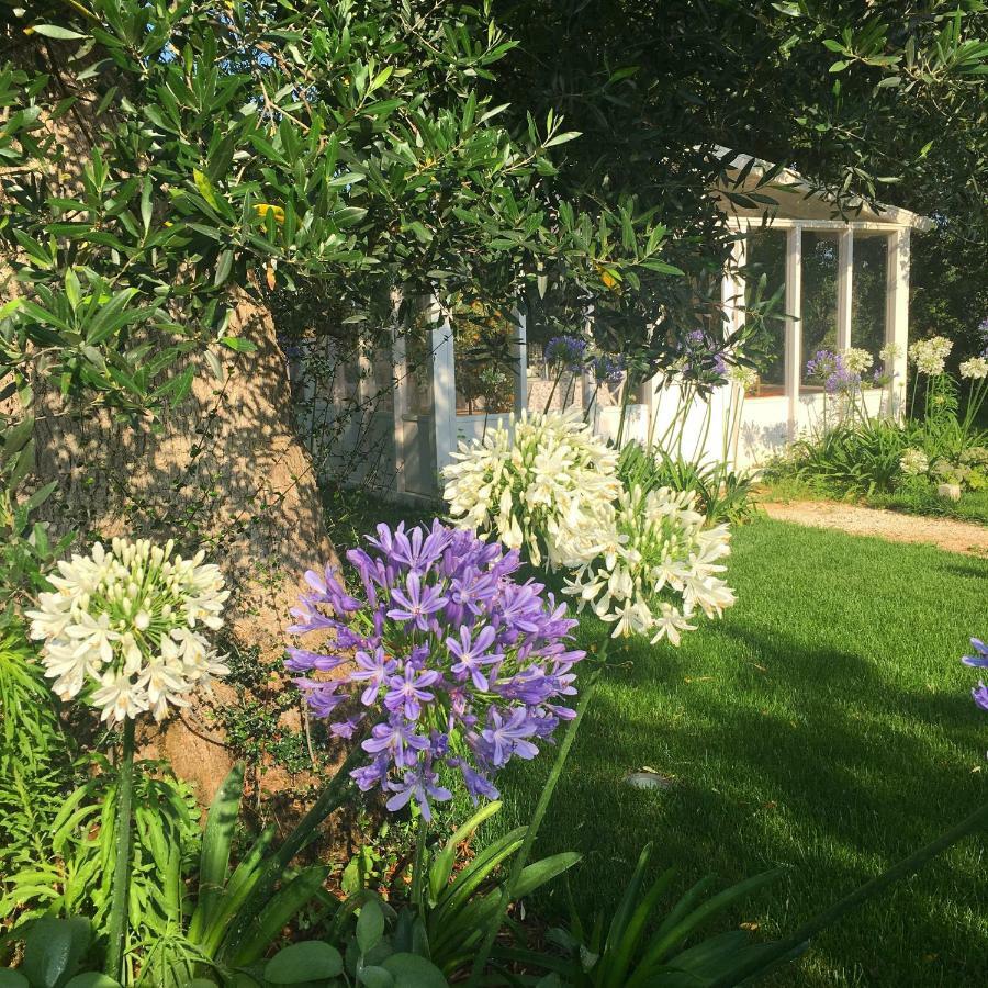 Bed and Breakfast Agapanto Masseria Conversano Exterior foto